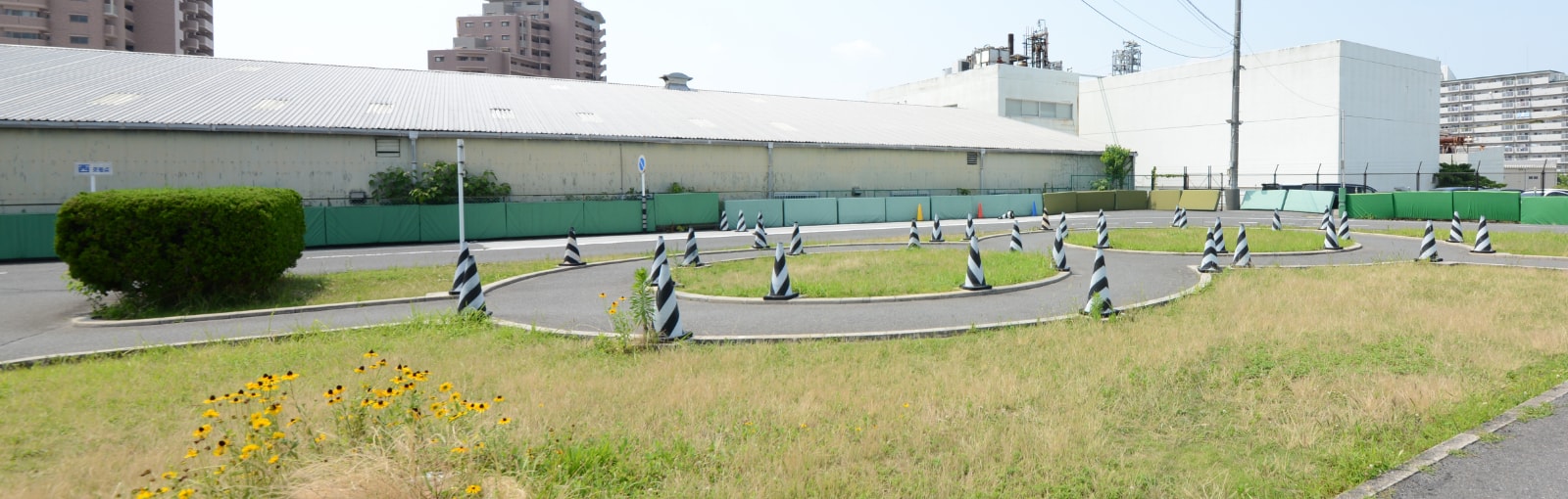 トレーニング内容
