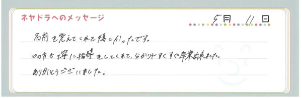 voice