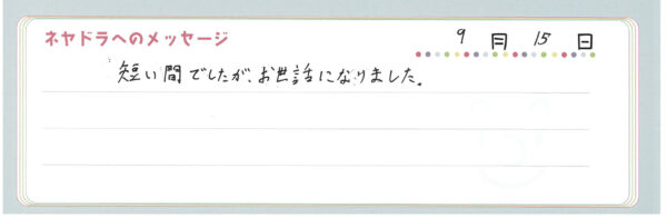 voice